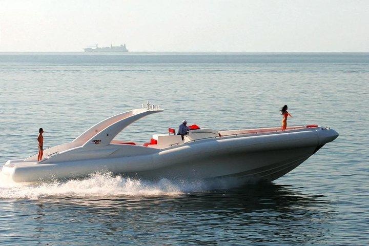 Luxury Opera 60 Whale and Dolphin Watching Experience