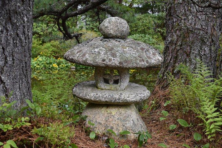 Visite privée de 4 heures en Acadie Cadillac Mountain & Somes Sound Fiord