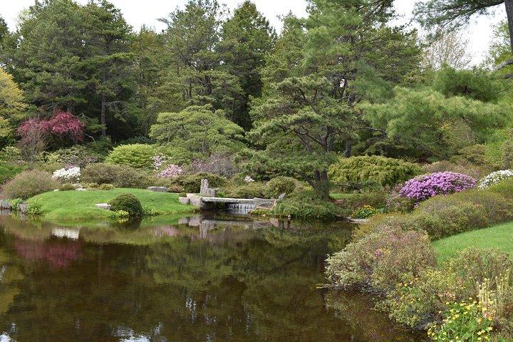 Visite privée de 4 heures en Acadie Cadillac Mountain & Somes Sound Fiord