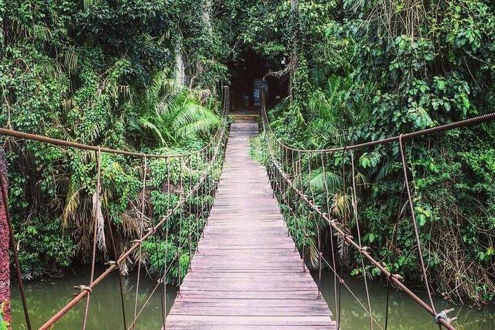Khao Yai National Park Jungle Trekking Day Trip Från Bangkok