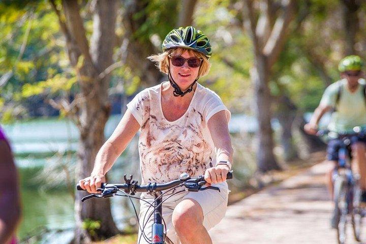 バンコクから：歴史的なアユタヤへの終日自転車旅行
