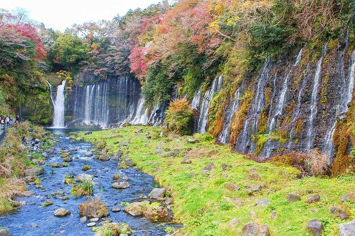 A trip to enjoy subsoil water and nature behind Mt. Fuji