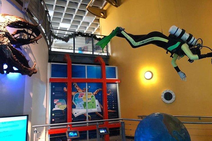 Bermuda Underwater Exploration Institute e Aquarium Adventure Day