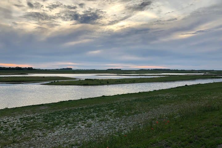 Full day tour to Texel - Friesian Islands - from Amsterdam