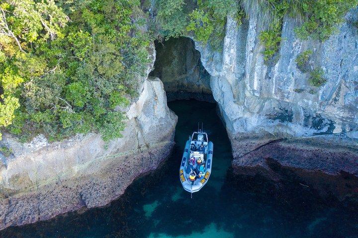 ウィティアンガ島：カテドラル・コーブクルーズ、洞窟＆シュノーケリング