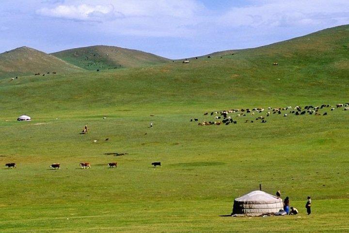 7 días Mongolia central y Gran Gobi