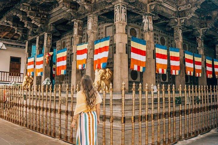 Kandy Sightseeing Day Tour fra Bentota (All Inclusive)