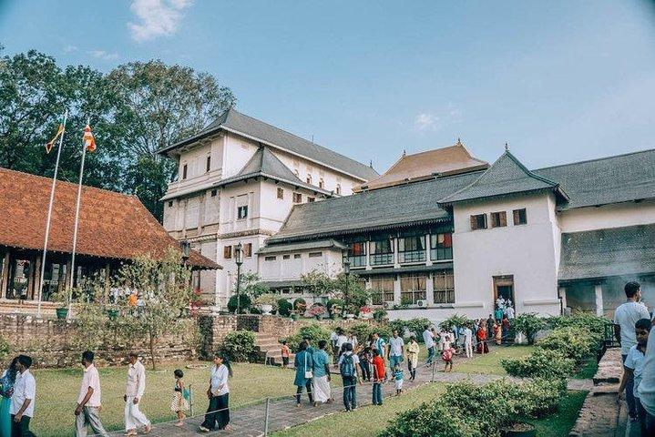 Giro turistico di Kandy da Negombo (All Inclusive)