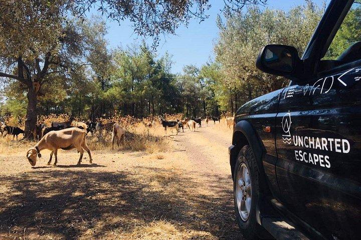 4x4サファリ・イン・ロドス北ルート