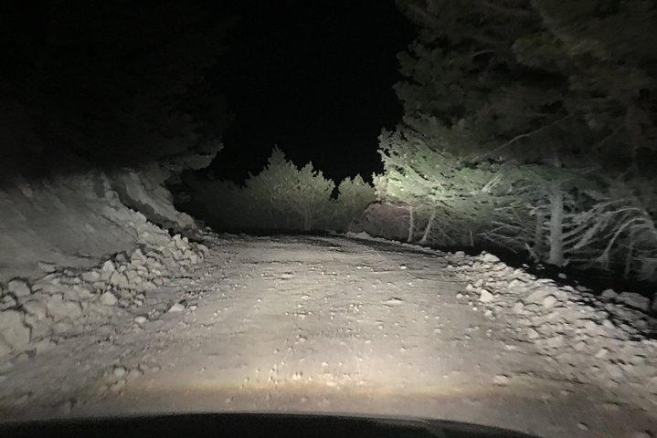Gouden uur Safari in Kos