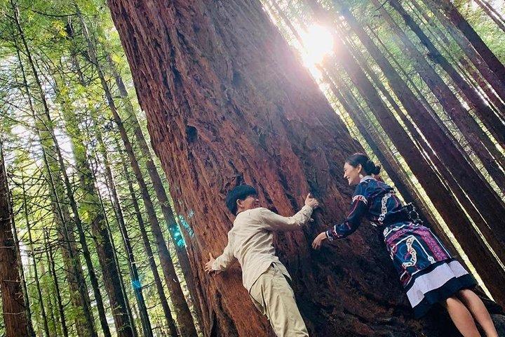 Rotorua Private Tour mit Hotspring