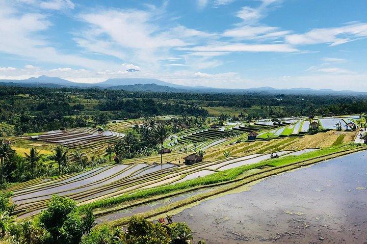 Det bedste af Bali 5 dage omkring Bali-ture