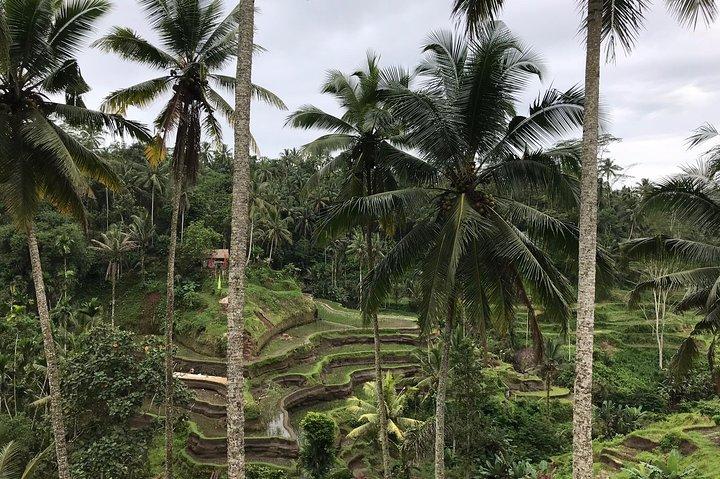 Det bedste af Bali 5 dage omkring Bali-ture
