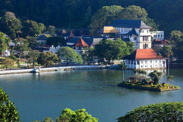 Giro turistico di Kandy da Negombo (All Inclusive)