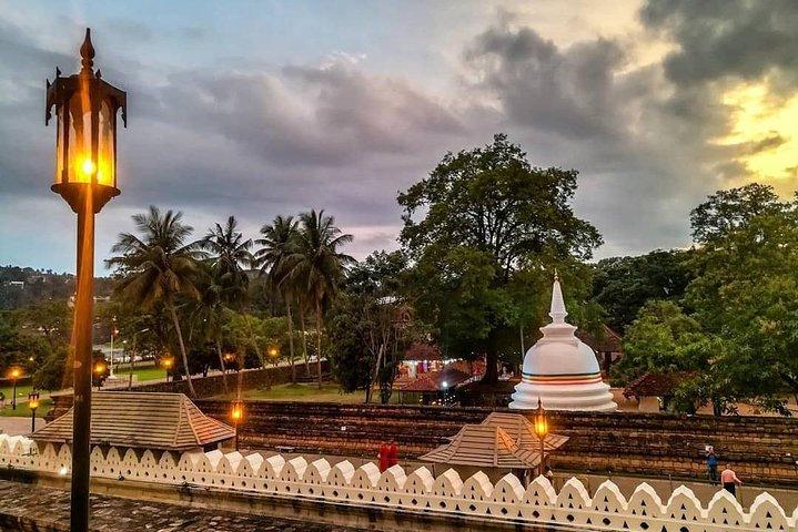 Giro turistico di Kandy da Negombo (All Inclusive)
