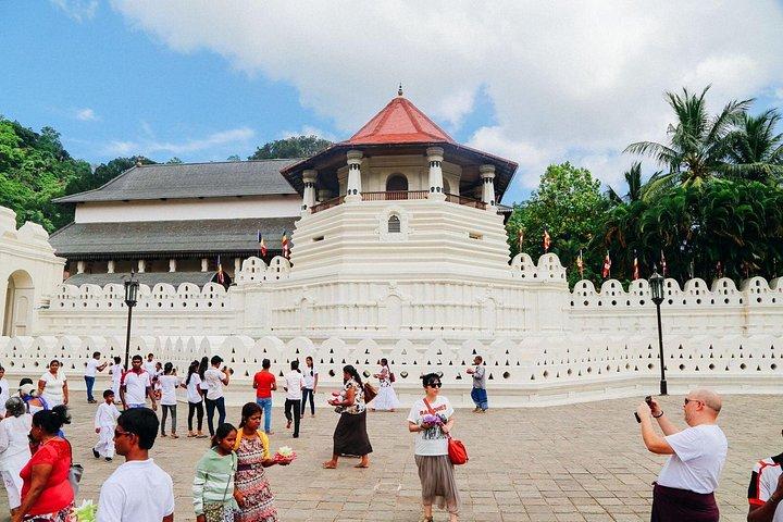 Giro turistico di Kandy da Colombo (tutto compreso)