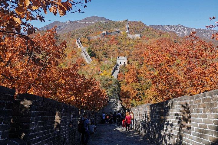 Peking : Tagestour durch die Große Mauer