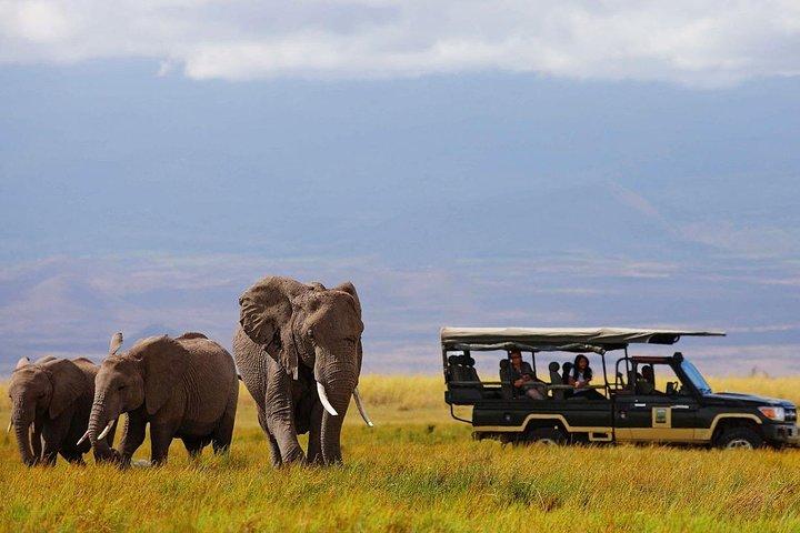7 Tage Samburu, Lake Naivasha & Masai Mara National Reserve