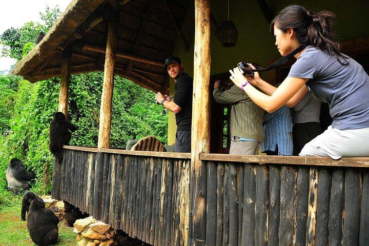 5 dias Safari de Kigali, Kampala, Entebbe e Gorilla