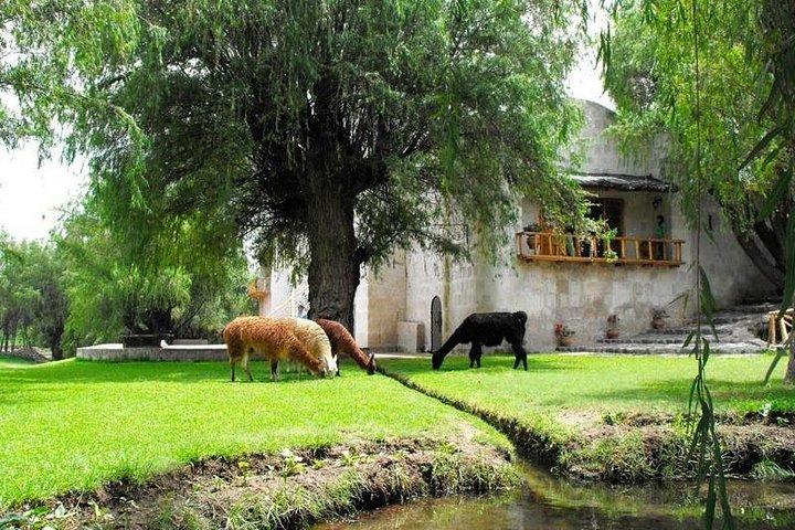 Landsbygdstur Arequipa