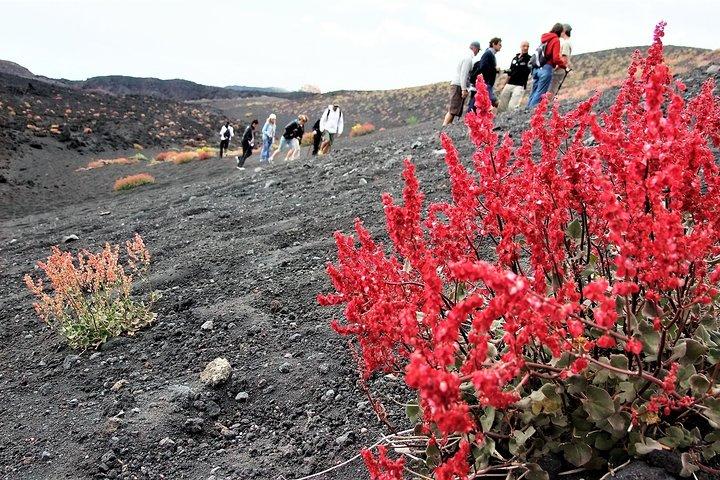 Ochtendtrip Etna