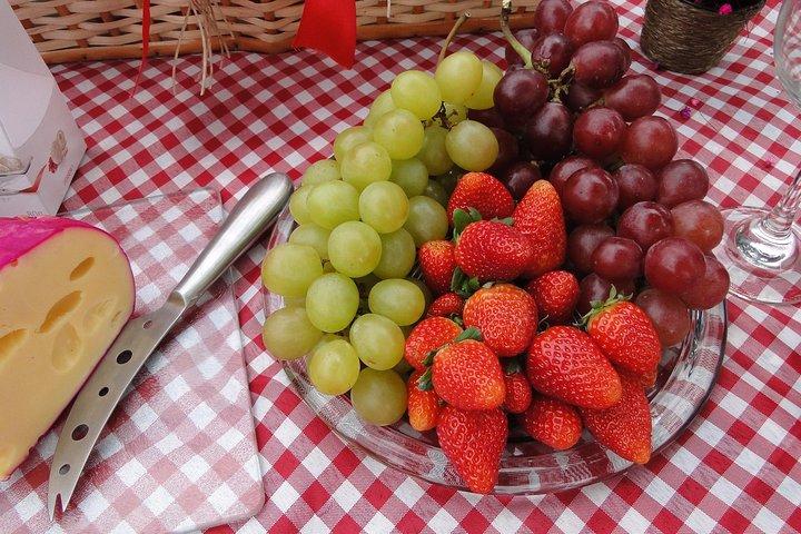 Food Tour Excursie in de Provence!