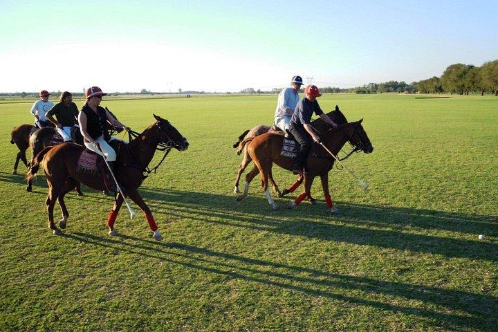 Polo Lessons from Buenos Aires by Polo Elite