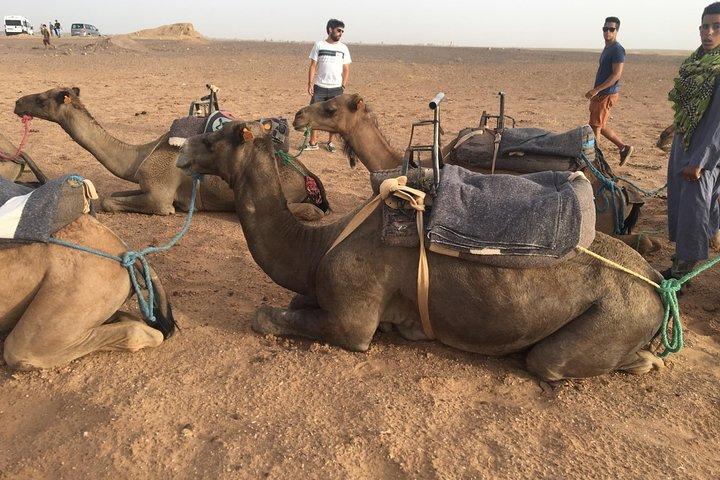 Marrakech a Zagora 2 días por el desierto