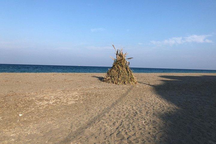 エビア島を発見-隠された宝