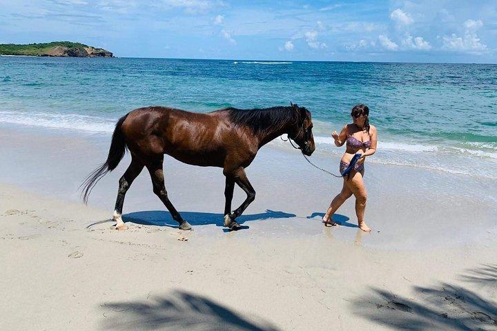 Privat avancerad strandtur på hästryggen med Sandy Hoofs St. Lucia