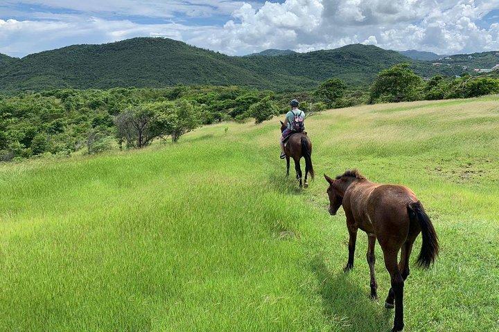 Privat avancerad strandtur på hästryggen med Sandy Hoofs St. Lucia