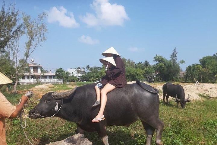 Excursão Terrestre: Hoi An Countryside Bike Tour from Tien sa ou Chan May Port