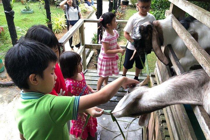 Il tour di Johor termina a Singapore - Southernmost Tip, Eco Farm, Go Kart [Car]