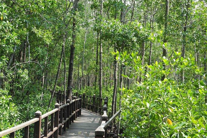 Il tour di Johor termina a Singapore - Southernmost Tip, Eco Farm, Go Kart [Car]