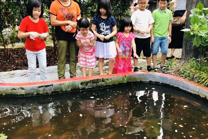 Il tour di Johor termina a Singapore - Southernmost Tip, Eco Farm, Go Kart [Car]