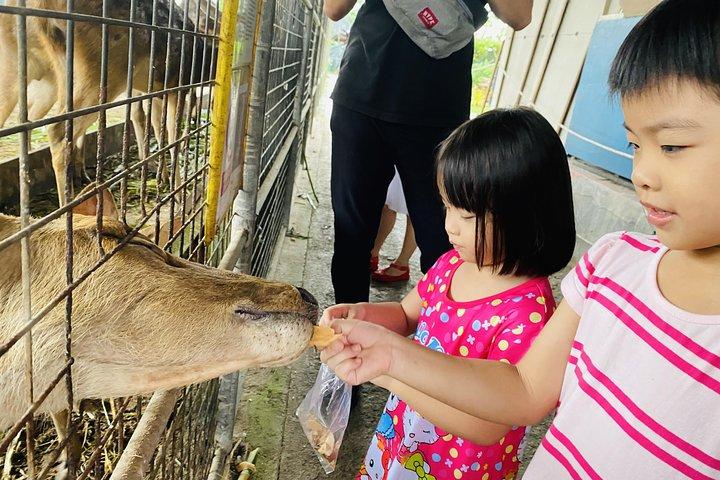 Johor Day Tour Från Singapore - Lasertag, Eco Farm, Go Kart [Car]