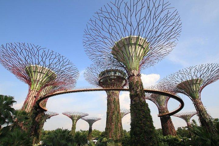 8 heures - Visite de Singapour en voiture privée ou minibus avec chauffeur