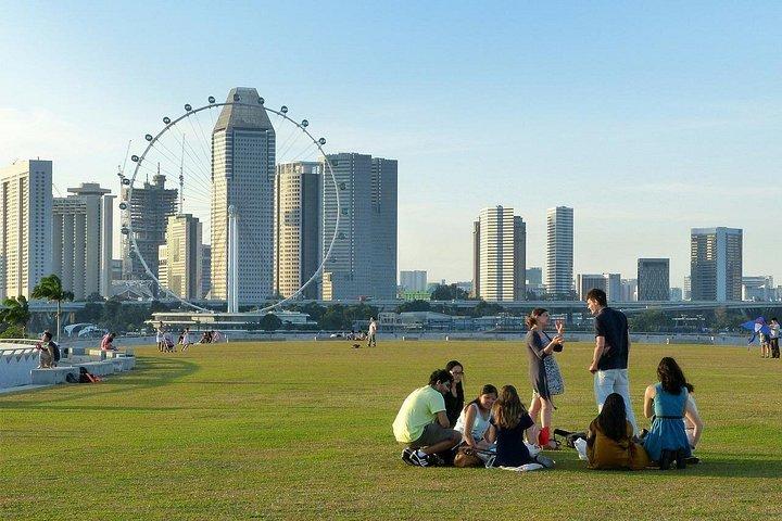6時間 - 運転手付き専用車またはミニバスでのシンガポールツアー