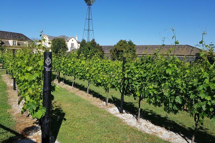Azeitão and Alentejo Wine and food Tour