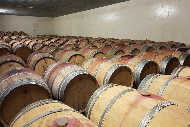 Azeitão and Alentejo Wine and food Tour