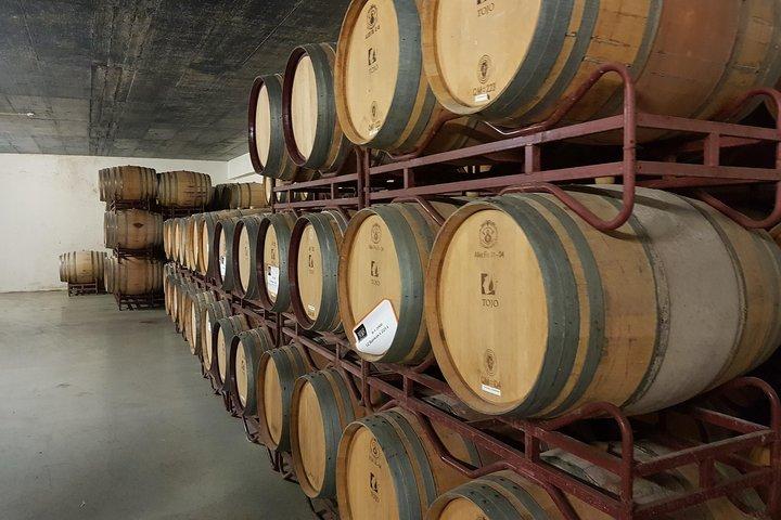 Azeitão and Alentejo Wine and food Tour