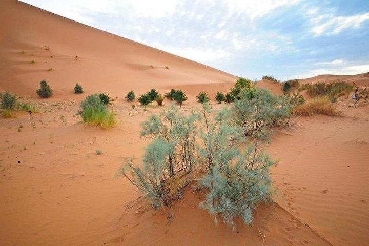 Tour di 3 giorni nel deserto del Merzouga da Marrakech a Fes