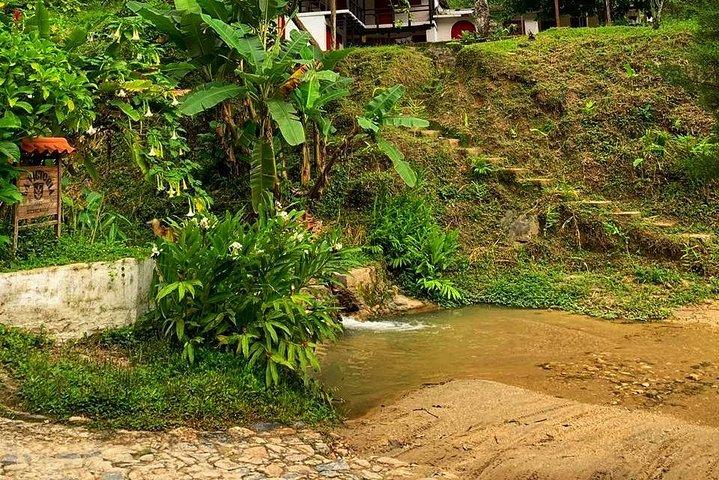 MINCA TOUR - Explore cachoeiras e conheça a origem do café e do cacau