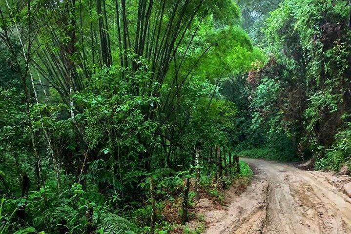 MINCA TOUR - Explore cachoeiras e conheça a origem do café e do cacau