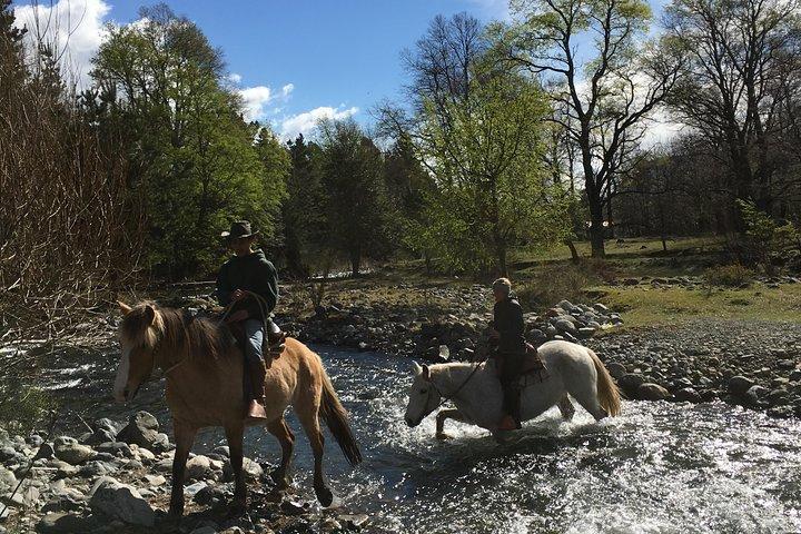 Excursión a caballo Trailride