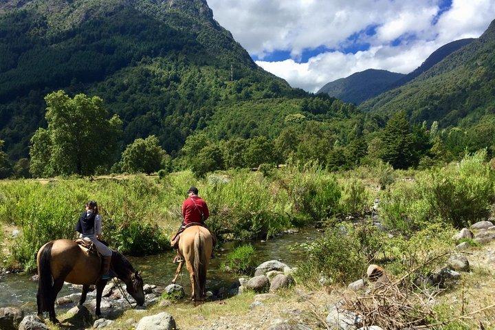 Excursión a caballo Trailride