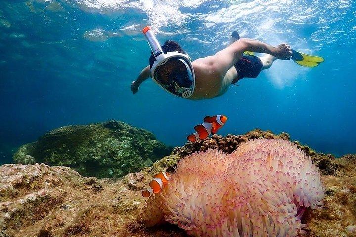 Esperienza sull'isola di Nemo con foto di droni e pranzo