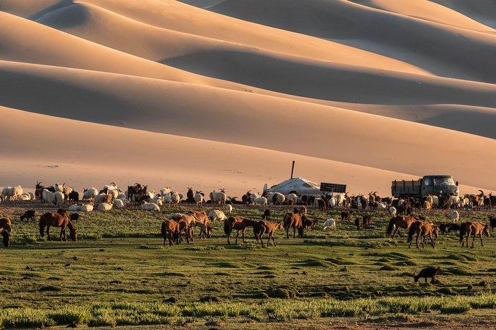 14 Días Grand Tour - Desierto de Gobi a la Estepa (Privado Todo Incluido)