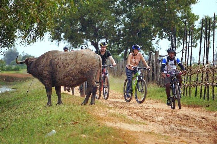 Descoberta do campo de Siem Reap de bicicleta