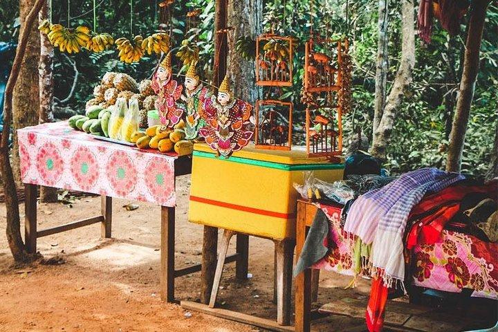 Descoberta do campo de Siem Reap de bicicleta